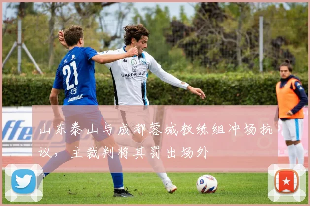 山东泰山与成都蓉城教练组冲场抗议，主裁判将其罚出场外